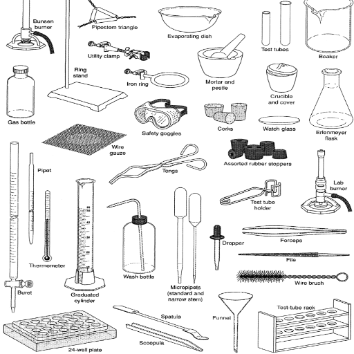What Are the Must-Have Lab Equipment for a New Lab_