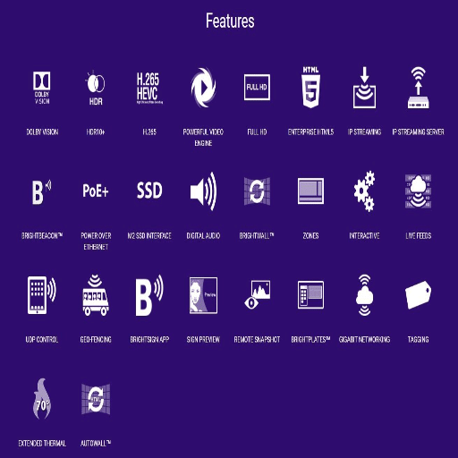 What are the essential playback features of a digital media player?