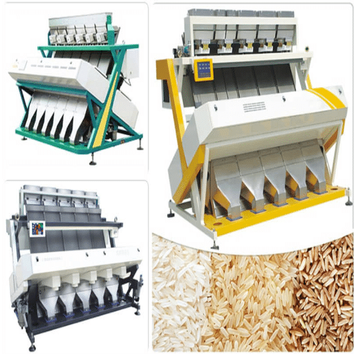 Why is Color Sorting Important in the Food Industry?